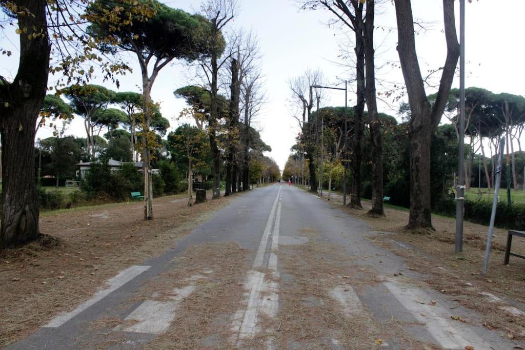 Tra Mare E Pineta Appartement *