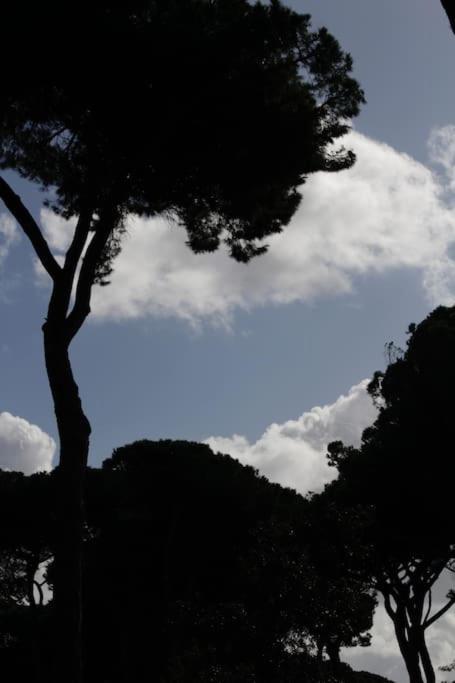 Tra Mare E Pineta Appartement