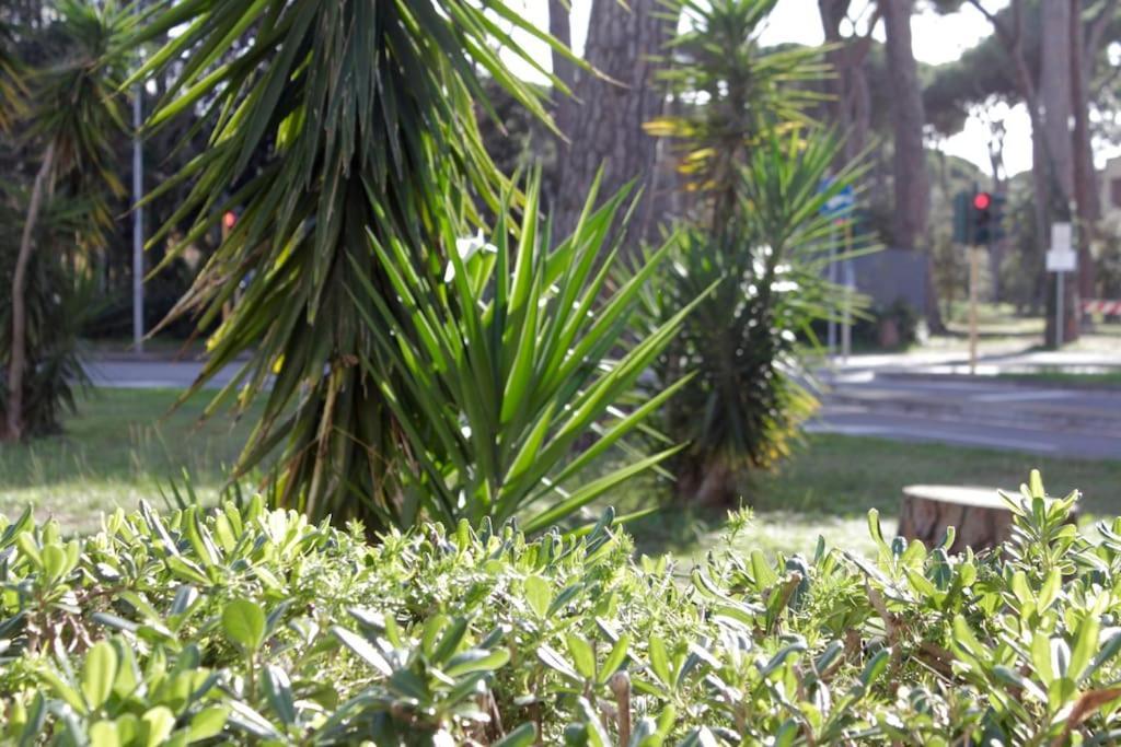 Tra Mare E Pineta Apartment