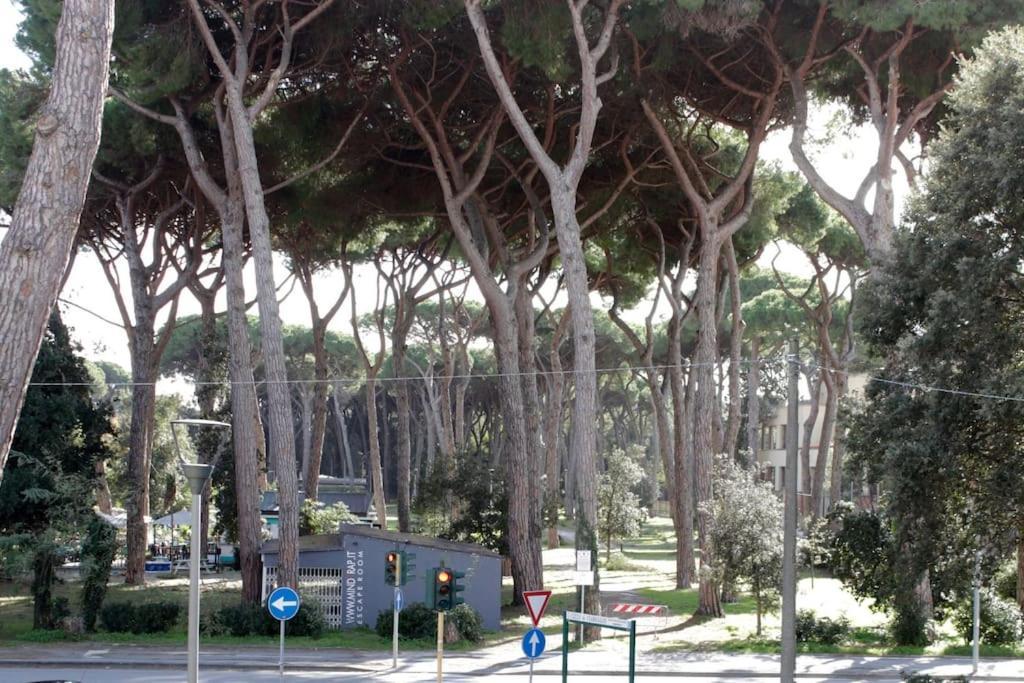 Tra Mare E Pineta *