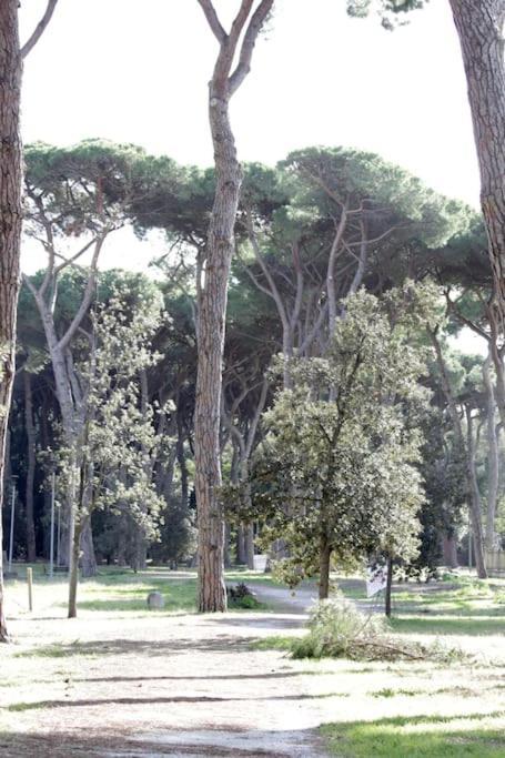 Tra Mare E Pineta Apartment *