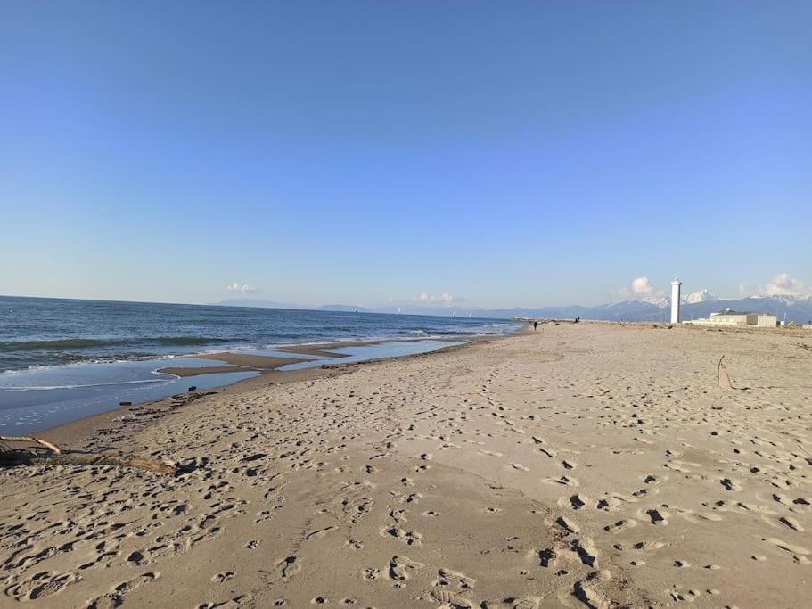 Apartment Tra Mare E Pineta Viareggio